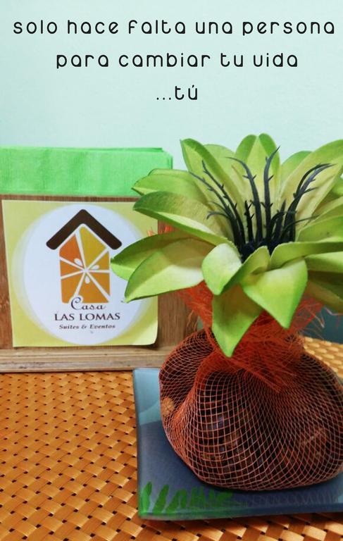 Hotel Casa Las Lomas テグシガルパ エクステリア 写真